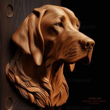 3D model st Drever dog (STL)